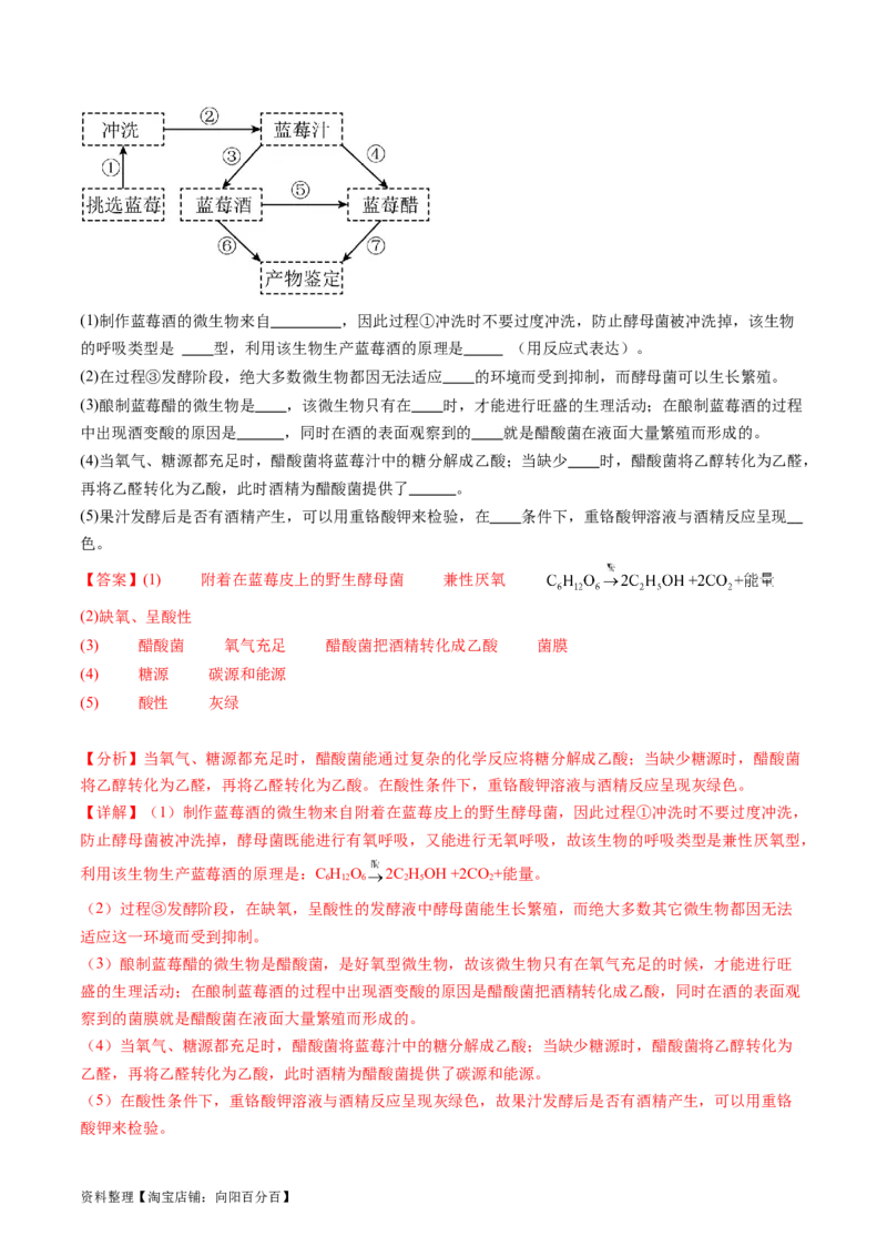 第38讲传统发酵技术和发酵工程的应用（练习）（解析版）_新高考复习资料_2024年新高考复习资料_一轮复习资料_完2024年高考生物一轮复习讲练测(课件+讲义+练习)（新高考）_讲义+练习