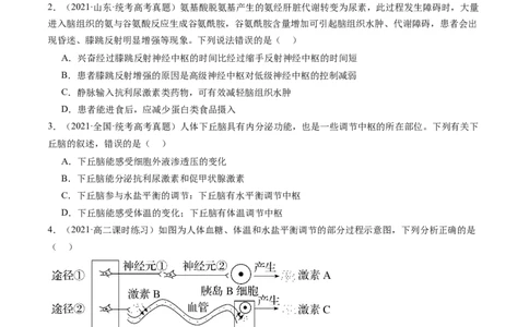 第28讲神经调节和体液调节的关系（练习）（原卷版）_新高考复习资料_2024年新高考复习资料_一轮复习资料_完2024年高考生物一轮复习讲练测(课件+讲义+练习)（新高考）_讲义+练习