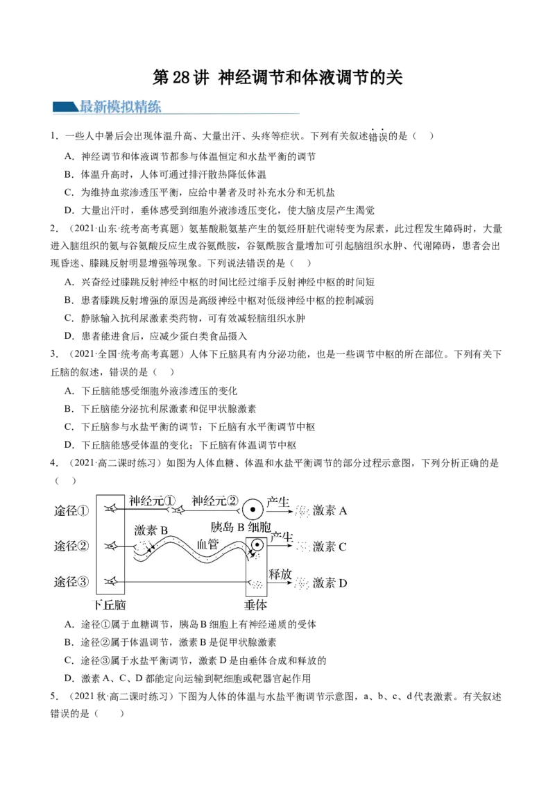 第28讲神经调节和体液调节的关系（练习）（原卷版）_新高考复习资料_2024年新高考复习资料_一轮复习资料_完2024年高考生物一轮复习讲练测(课件+讲义+练习)（新高考）_讲义+练习