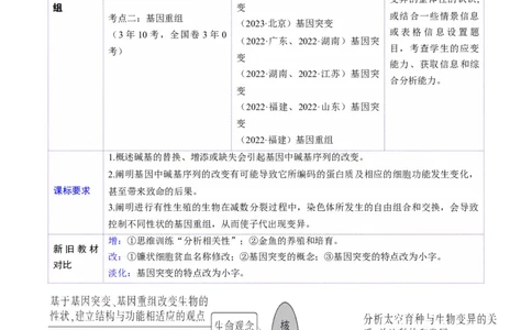 第22讲生物的变异（第一课时，基因突变和基因重组）（讲义）（解析版）_2025年新高考资料_一轮复习_2025年高考生物一轮复习讲练测（新教材新高考）