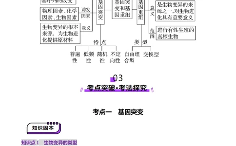 第22讲生物的变异（第一课时，基因突变和基因重组）（讲义）（解析版）_2025年新高考资料_一轮复习_2025年高考生物一轮复习讲练测（新教材新高考）