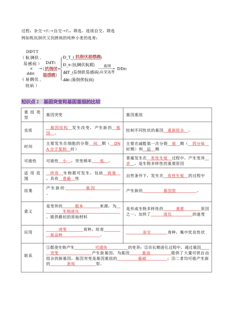 第22讲生物的变异（第一课时，基因突变和基因重组）（讲义）（解析版）_2025年新高考资料_一轮复习_2025年高考生物一轮复习讲练测（新教材新高考）