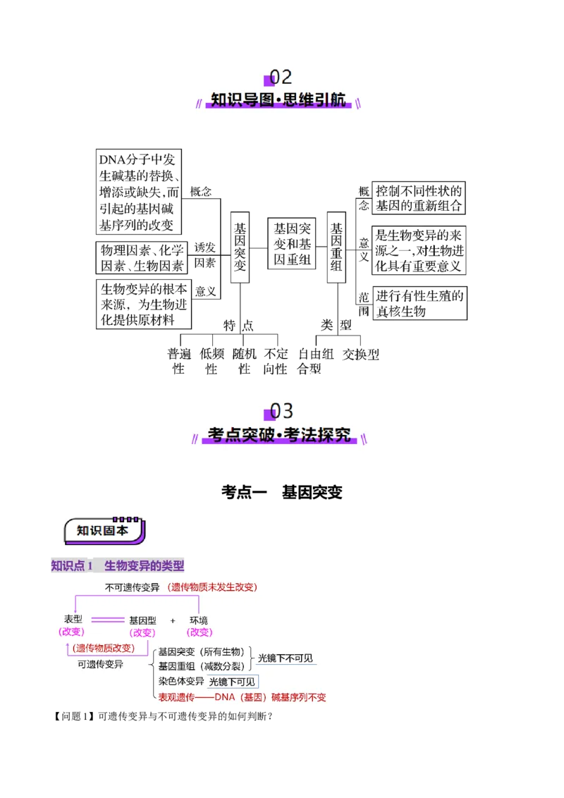 第22讲生物的变异（第一课时，基因突变和基因重组）（讲义）（解析版）_2025年新高考资料_一轮复习_2025年高考生物一轮复习讲练测（新教材新高考）