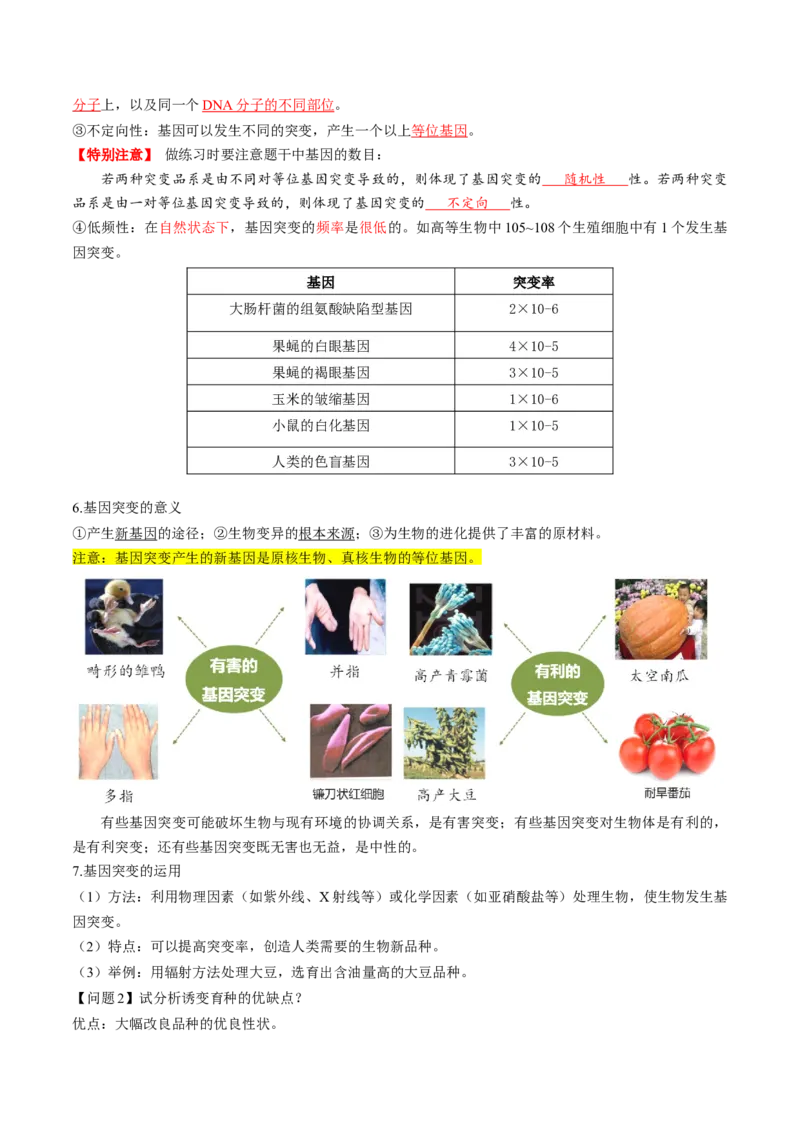 第22讲生物的变异（第一课时，基因突变和基因重组）（讲义）（解析版）_2025年新高考资料_一轮复习_2025年高考生物一轮复习讲练测（新教材新高考）
