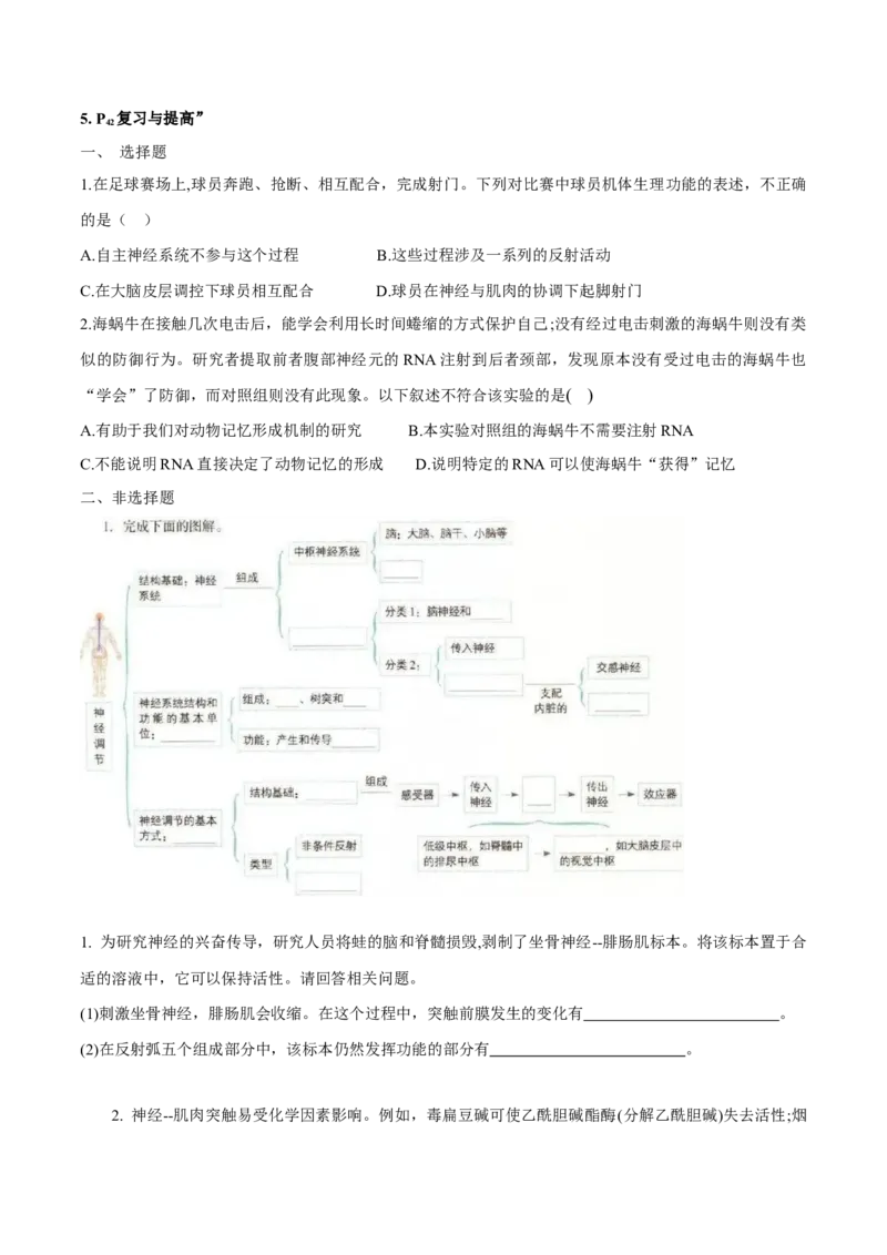 第2章神经调节-查漏补缺2023年高考生物一轮复习教材必背细节与旁栏思考梳理汇总（新教材）（学生版）_新高考复习资料_2023年新高考复习资料_一轮复习