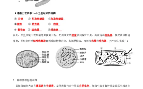 第1章走近细胞（背诵版）_2025年新高考资料_专项复习_晨读晚默备战2025年高考生物必背知识清单_第1章走近细胞-晨读晚默备战2025年高考生物必背知识清单
