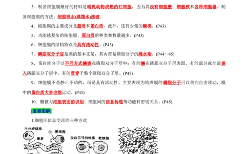 第3章细胞的基本结构（背诵版）_2025年新高考资料_专项复习_晨读晚默备战2025年高考生物必背知识清单_第3章细胞的基本结构-晨读晚默备战2025年高考生物必背知识清单