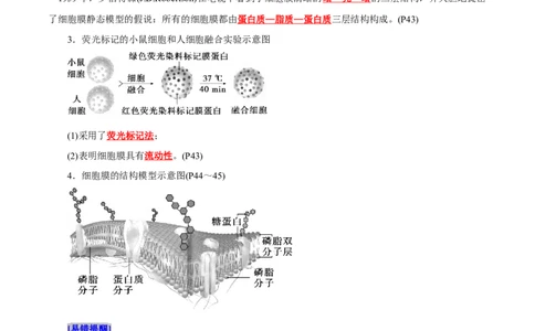 第3章细胞的基本结构（背诵版）_2025年新高考资料_专项复习_晨读晚默备战2025年高考生物必背知识清单_第3章细胞的基本结构-晨读晚默备战2025年高考生物必背知识清单