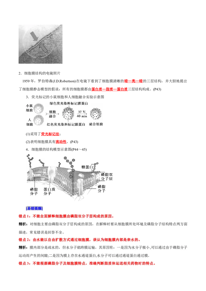 第3章细胞的基本结构（背诵版）_2025年新高考资料_专项复习_晨读晚默备战2025年高考生物必背知识清单_第3章细胞的基本结构-晨读晚默备战2025年高考生物必背知识清单