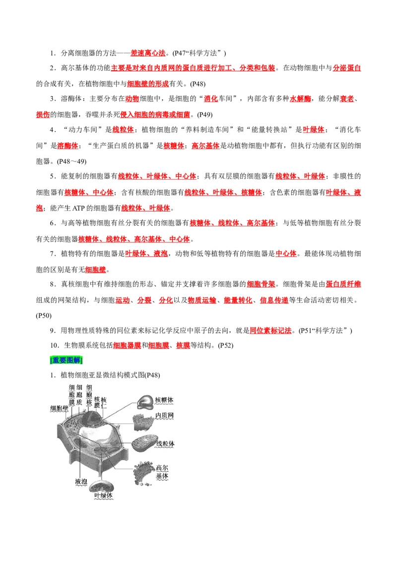 第3章细胞的基本结构（背诵版）_2025年新高考资料_专项复习_晨读晚默备战2025年高考生物必背知识清单_第3章细胞的基本结构-晨读晚默备战2025年高考生物必背知识清单