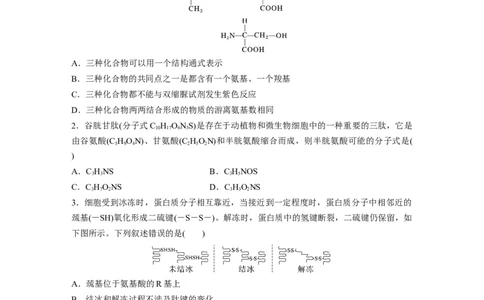 第1单元　课时练3　蛋白质是生命活动的主要承担者_新高考复习资料_2024年新高考复习资料_一轮复习资料_完2024生物步步高大一轮复习（课件+讲义）_学生版在此文件夹_一轮复习69练