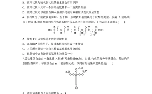 第1单元　课时练3　蛋白质是生命活动的主要承担者_新高考复习资料_2024年新高考复习资料_一轮复习资料_完2024生物步步高大一轮复习（课件+讲义）_学生版在此文件夹_一轮复习69练