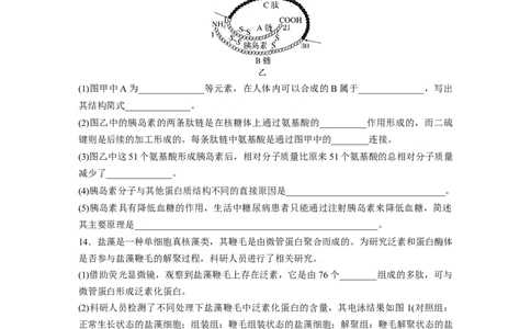 第1单元　课时练3　蛋白质是生命活动的主要承担者_新高考复习资料_2024年新高考复习资料_一轮复习资料_完2024生物步步高大一轮复习（课件+讲义）_学生版在此文件夹_一轮复习69练