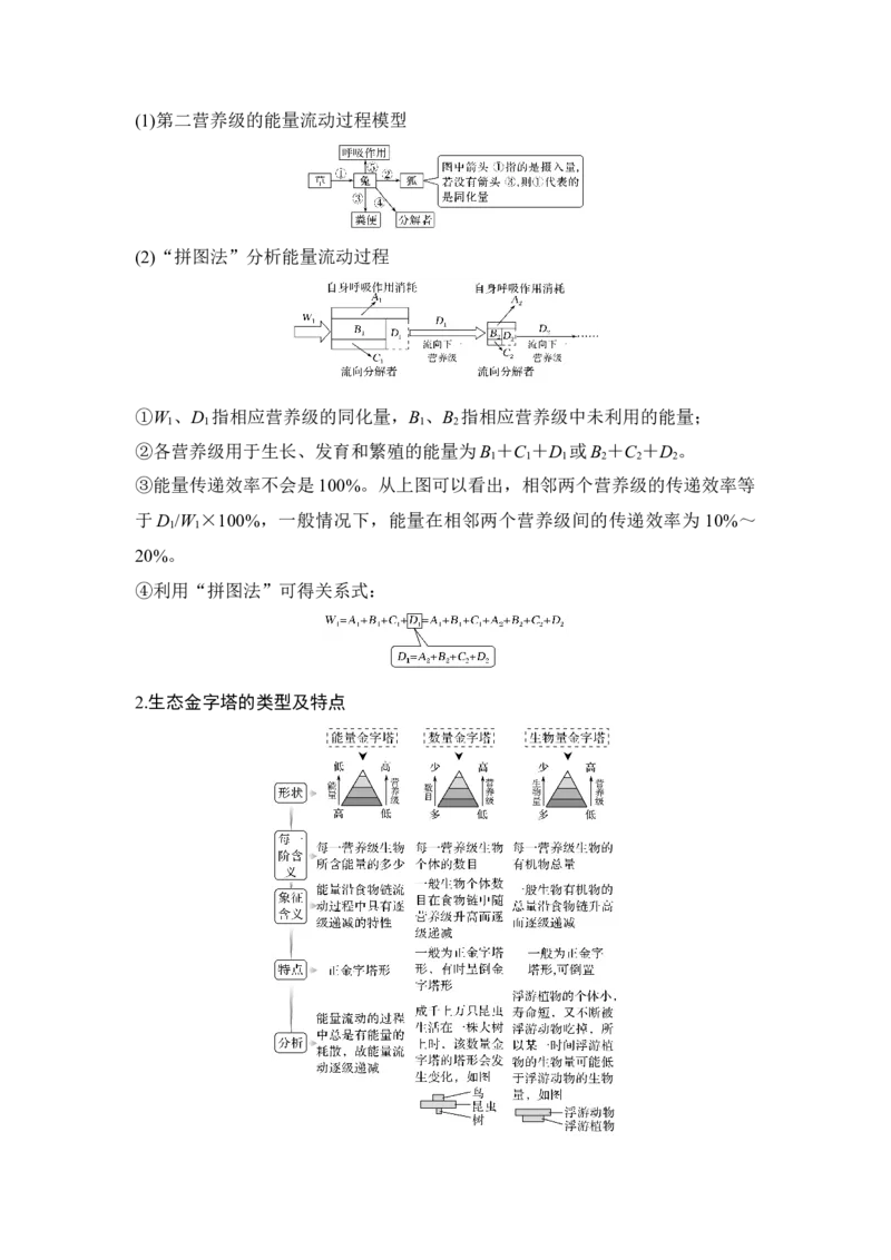第29讲生态系统的结构和功能_通用版（老高考）复习资料_2023年复习资料_一轮复习_2023年高考生物一轮复习讲义+课件（全国版）_2023年高考生物一轮复习讲义（全国版）_赠补充习题