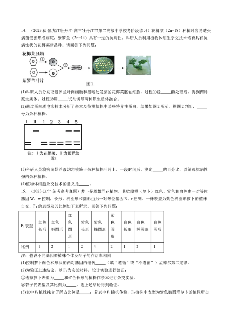 第40讲植物细胞工程（练习）（原卷版）_新高考复习资料_2024年新高考复习资料_一轮复习资料_完2024年高考生物一轮复习讲练测(课件+讲义+练习)（新高考）_讲义+练习