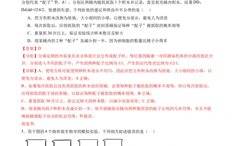 第15讲分离定律（练习）（解析版）_2025年新高考资料_一轮复习_2025年高考生物一轮复习讲练测（新教材新高考）