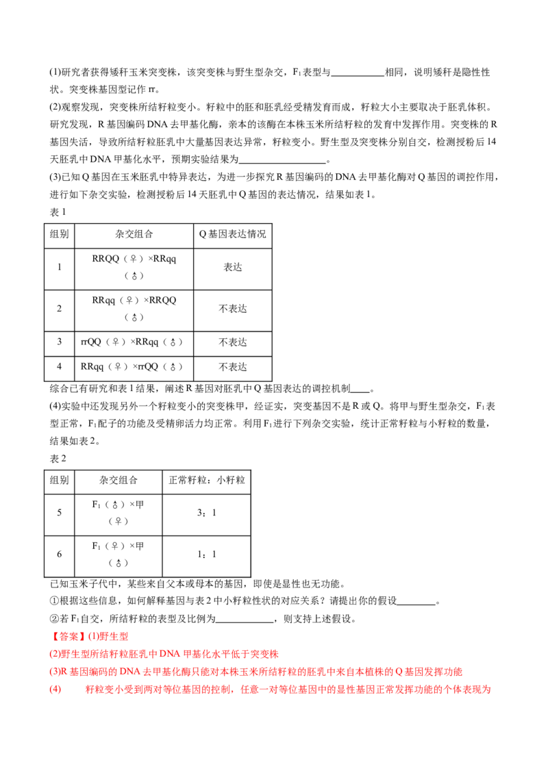 第15讲分离定律（练习）（解析版）_2025年新高考资料_一轮复习_2025年高考生物一轮复习讲练测（新教材新高考）