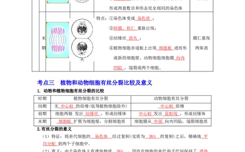第17讲细胞增殖-精准备考备战2023年高考生物一轮复习精品讲义（生物学必修1）（解析版）_通用版（老高考）复习资料_2023年复习资料_一轮复习