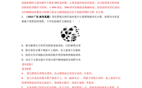 第17讲细胞增殖-精准备考备战2023年高考生物一轮复习精品讲义（生物学必修1）（解析版）_通用版（老高考）复习资料_2023年复习资料_一轮复习