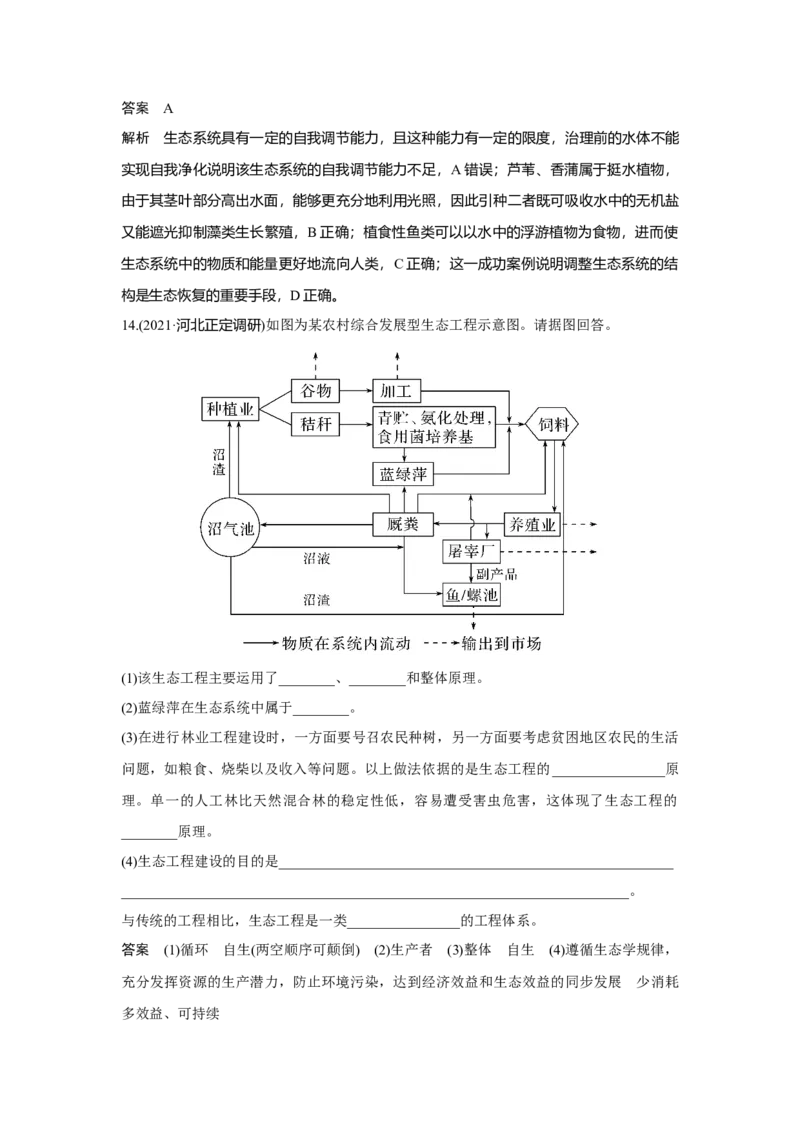 第30讲　人与环境_新高考复习资料_2023年新高考复习资料_一轮复习_2023年新高考大一轮复习讲义_2023年高考生物一轮复习讲义（新人教新高考）_赠补充习题_Word版题库第七~十单元