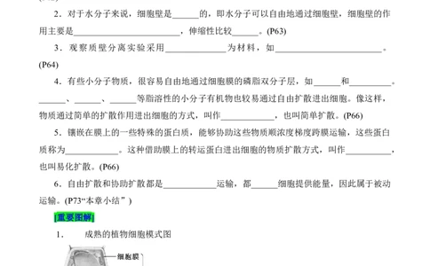 第4章细胞的物质输入和输出（填空版）_2025年新高考资料_专项复习_晨读晚默备战2025年高考生物必背知识清单