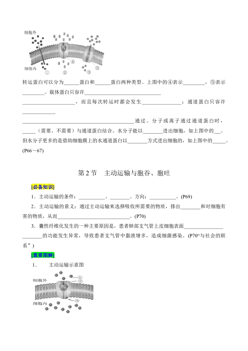 第4章细胞的物质输入和输出（填空版）_2025年新高考资料_专项复习_晨读晚默备战2025年高考生物必背知识清单