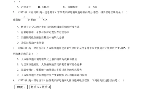 第3讲细胞呼吸（原卷版）_通用版（老高考）复习资料_2024年复习资料_完备战2024年高考生物一轮复习考点帮（全国通用）_专题四细胞的能量供应和利用