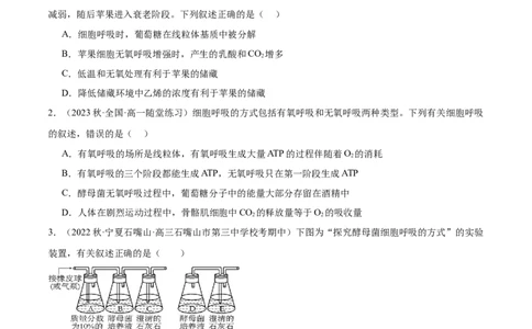 第3讲细胞呼吸（原卷版）_通用版（老高考）复习资料_2024年复习资料_完备战2024年高考生物一轮复习考点帮（全国通用）_专题四细胞的能量供应和利用