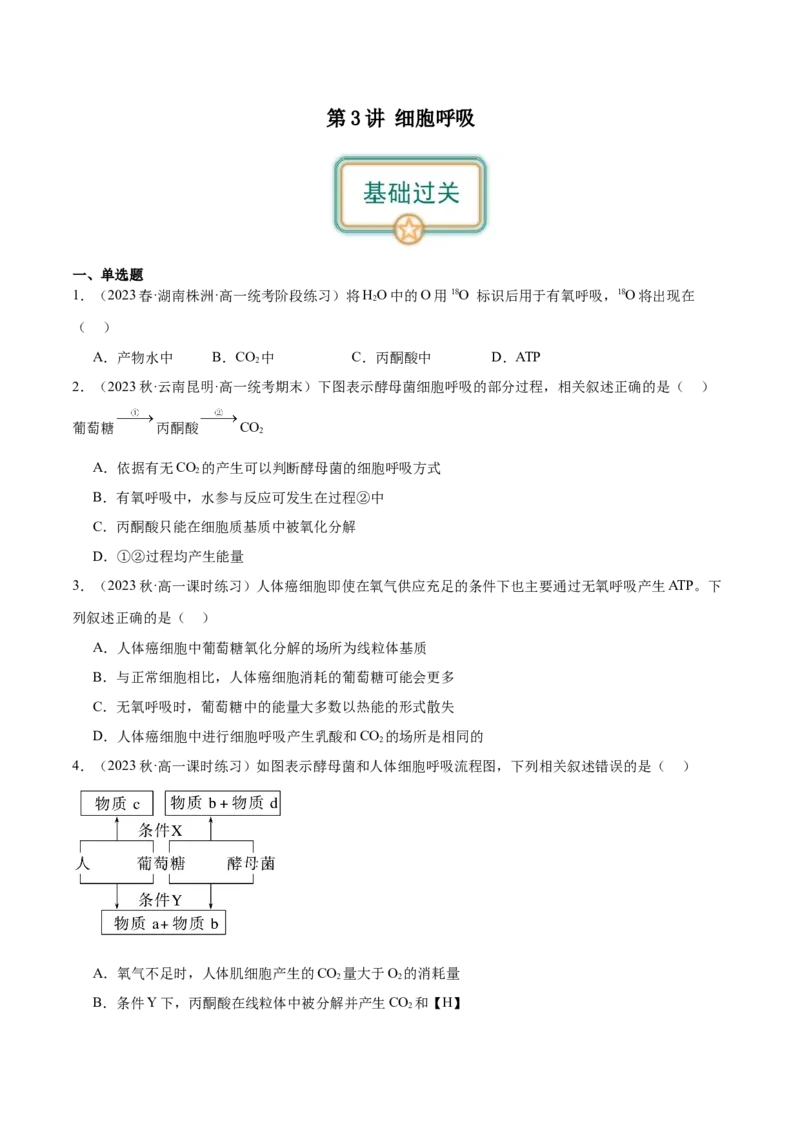 第3讲细胞呼吸（原卷版）_通用版（老高考）复习资料_2024年复习资料_完备战2024年高考生物一轮复习考点帮（全国通用）_专题四细胞的能量供应和利用