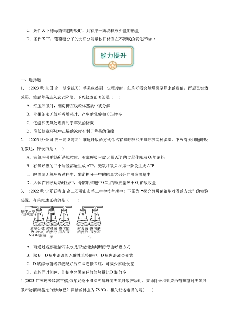 第3讲细胞呼吸（原卷版）_通用版（老高考）复习资料_2024年复习资料_完备战2024年高考生物一轮复习考点帮（全国通用）_专题四细胞的能量供应和利用