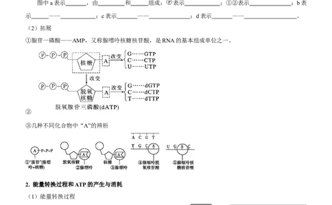 第3讲酶和ATP（讲练）（原卷版）_新高考复习资料_2023年新高考复习资料_二轮复习_2023年高考生物二轮复习讲练测（新教材专用）