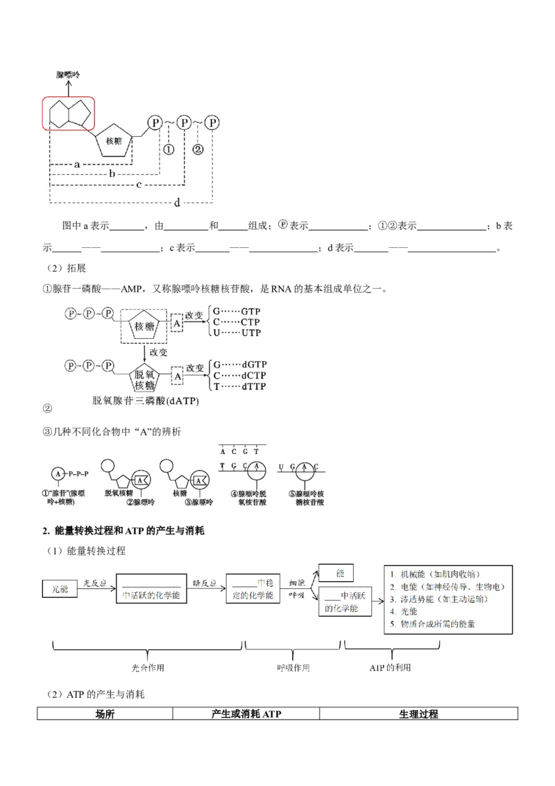 第3讲酶和ATP（讲练）（原卷版）_新高考复习资料_2023年新高考复习资料_二轮复习_2023年高考生物二轮复习讲练测（新教材专用）