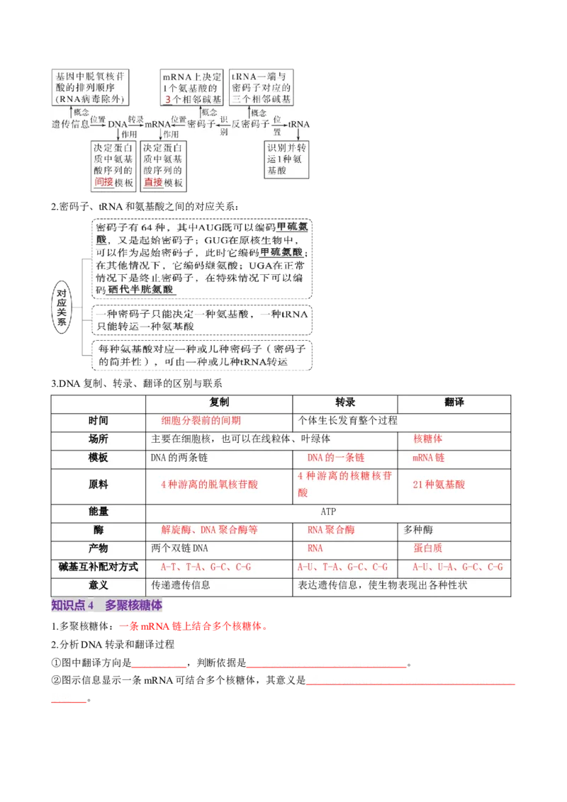 第21讲基因的表达、基因与性状的关系（讲义）（原卷版）_2025年新高考资料_一轮复习_2025年高考生物一轮复习讲练测（新教材新高考）