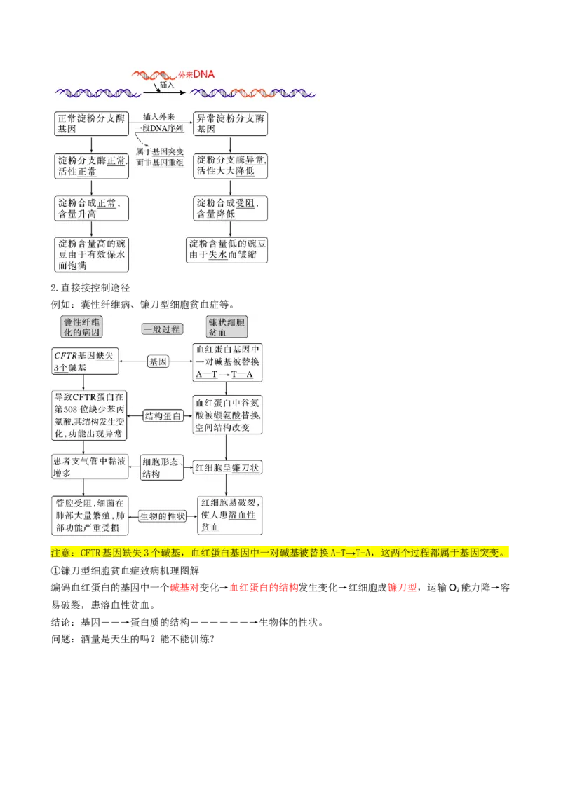 第21讲基因的表达、基因与性状的关系（讲义）（原卷版）_2025年新高考资料_一轮复习_2025年高考生物一轮复习讲练测（新教材新高考）