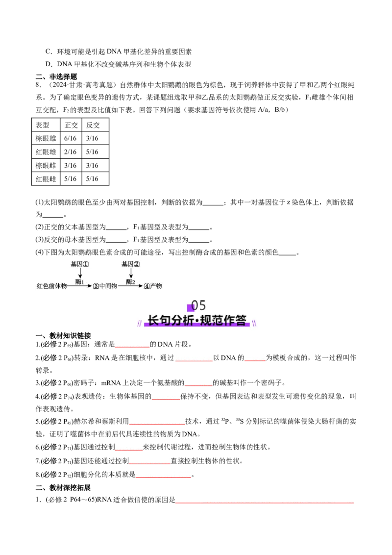 第21讲基因的表达、基因与性状的关系（讲义）（原卷版）_2025年新高考资料_一轮复习_2025年高考生物一轮复习讲练测（新教材新高考）