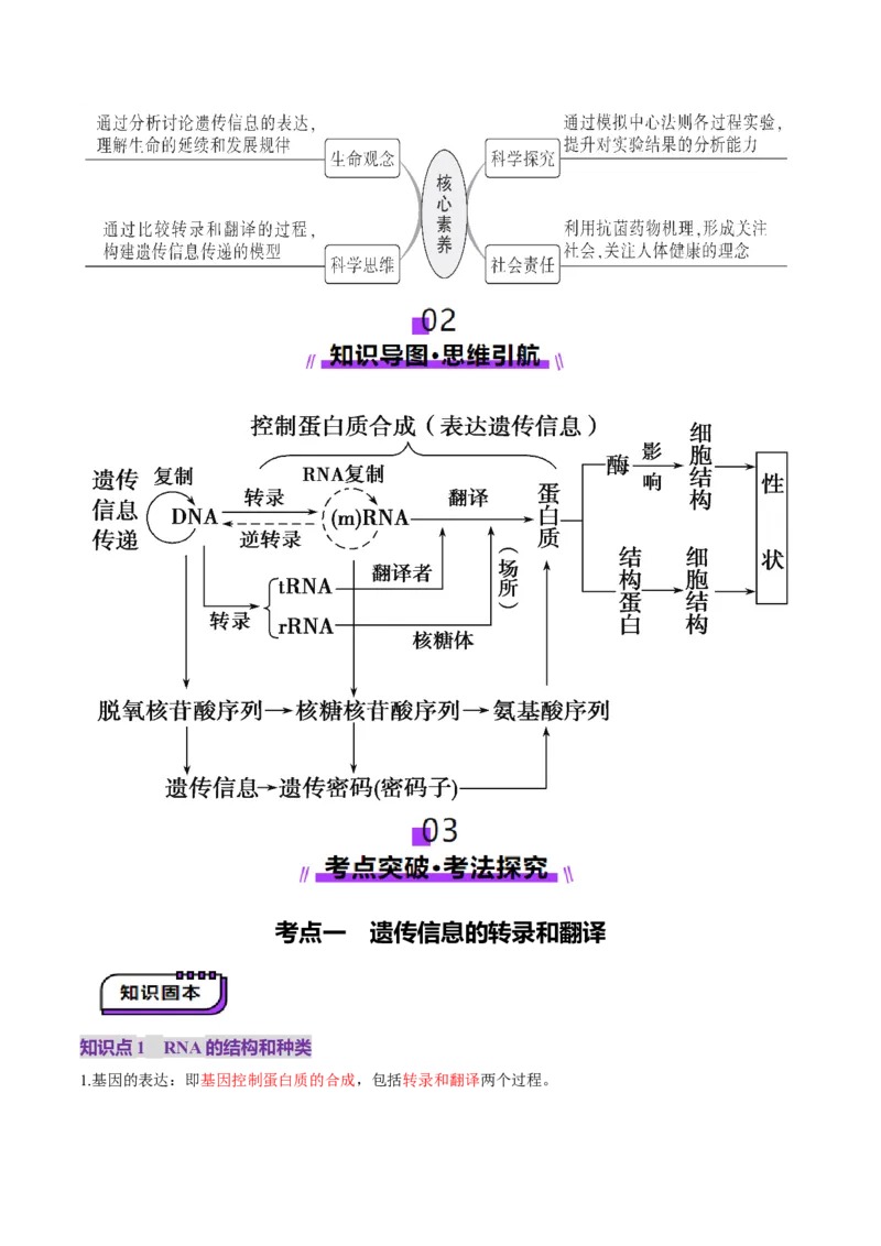 第21讲基因的表达、基因与性状的关系（讲义）（原卷版）_2025年新高考资料_一轮复习_2025年高考生物一轮复习讲练测（新教材新高考）