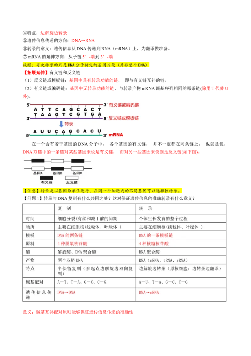 第21讲基因的表达、基因与性状的关系（讲义）（原卷版）_2025年新高考资料_一轮复习_2025年高考生物一轮复习讲练测（新教材新高考）