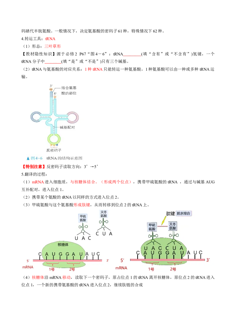 第21讲基因的表达、基因与性状的关系（讲义）（原卷版）_2025年新高考资料_一轮复习_2025年高考生物一轮复习讲练测（新教材新高考）