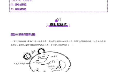 第21讲基因的表达、基因与性状的关系（练习）（解析版）_2025年新高考资料_一轮复习_2025年高考生物一轮复习讲练测（新教材新高考）