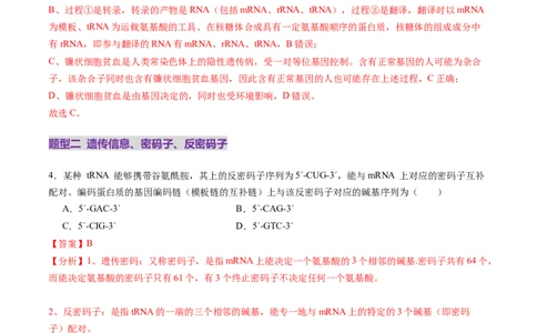 第21讲基因的表达、基因与性状的关系（练习）（解析版）_2025年新高考资料_一轮复习_2025年高考生物一轮复习讲练测（新教材新高考）