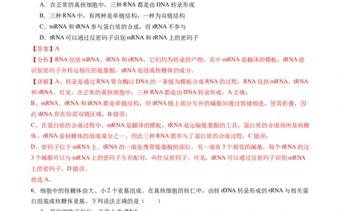 第21讲基因的表达、基因与性状的关系（练习）（解析版）_2025年新高考资料_一轮复习_2025年高考生物一轮复习讲练测（新教材新高考）