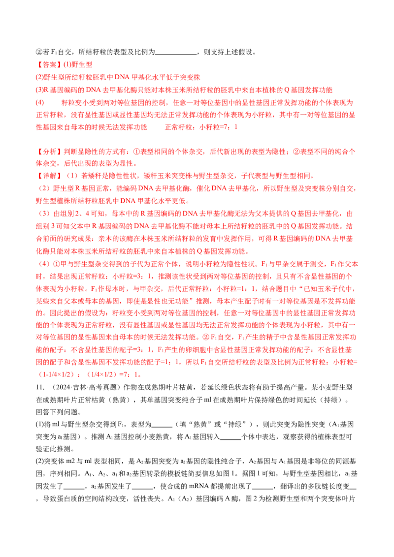 第21讲基因的表达、基因与性状的关系（练习）（解析版）_2025年新高考资料_一轮复习_2025年高考生物一轮复习讲练测（新教材新高考）