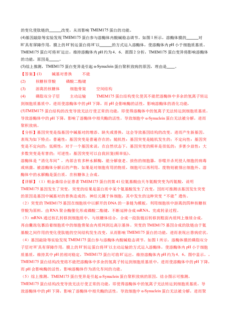 第21讲基因的表达、基因与性状的关系（练习）（解析版）_2025年新高考资料_一轮复习_2025年高考生物一轮复习讲练测（新教材新高考）