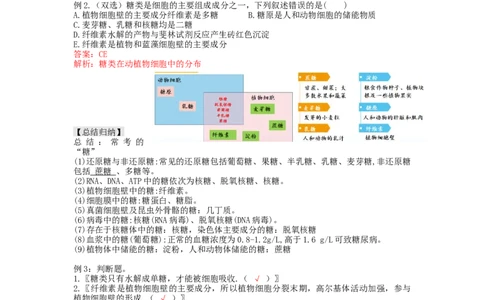 第3讲糖类和脂质（讲义）（教师版）_新高考复习资料_2024年新高考复习资料_一轮复习资料_完2024年高考生物一轮复习讲练测(课件+讲义+练习)（新高考）_讲义+练习