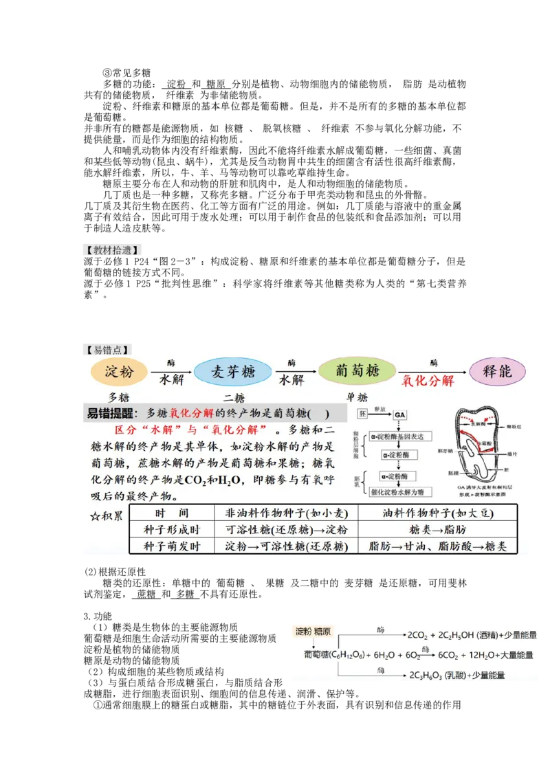 第3讲糖类和脂质（讲义）（教师版）_新高考复习资料_2024年新高考复习资料_一轮复习资料_完2024年高考生物一轮复习讲练测(课件+讲义+练习)（新高考）_讲义+练习