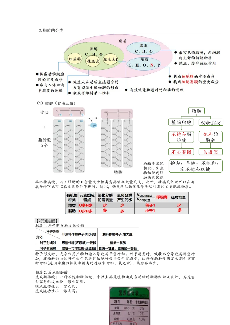 第3讲糖类和脂质（讲义）（教师版）_新高考复习资料_2024年新高考复习资料_一轮复习资料_完2024年高考生物一轮复习讲练测(课件+讲义+练习)（新高考）_讲义+练习