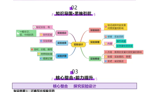 第20讲+实验探究与设计（讲义）（原卷版）_2025年新高考资料_二轮复习_01高考语文等多个文件_上好课2025年高考生物二轮复习讲练测（新高考通用）