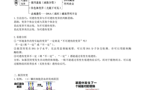 第23讲生物的变异（讲义）（学生版）_新高考复习资料_2024年新高考复习资料_一轮复习资料_完2024年高考生物一轮复习讲练测(课件+讲义+练习)（新高考）_讲义+练习
