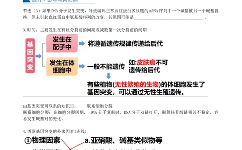 第23讲生物的变异（讲义）（学生版）_新高考复习资料_2024年新高考复习资料_一轮复习资料_完2024年高考生物一轮复习讲练测(课件+讲义+练习)（新高考）_讲义+练习