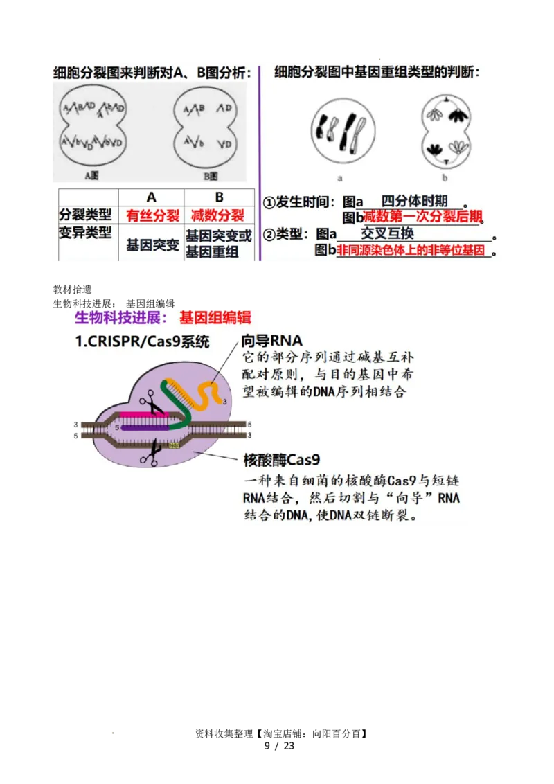 第23讲生物的变异（讲义）（学生版）_新高考复习资料_2024年新高考复习资料_一轮复习资料_完2024年高考生物一轮复习讲练测(课件+讲义+练习)（新高考）_讲义+练习